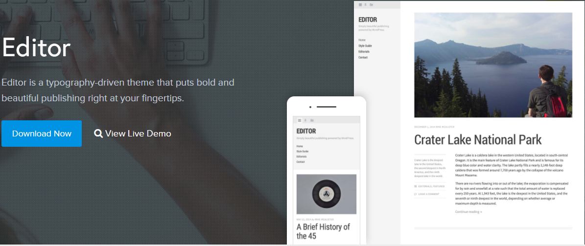 Editor - Best Free WordPress Themes for Blogs