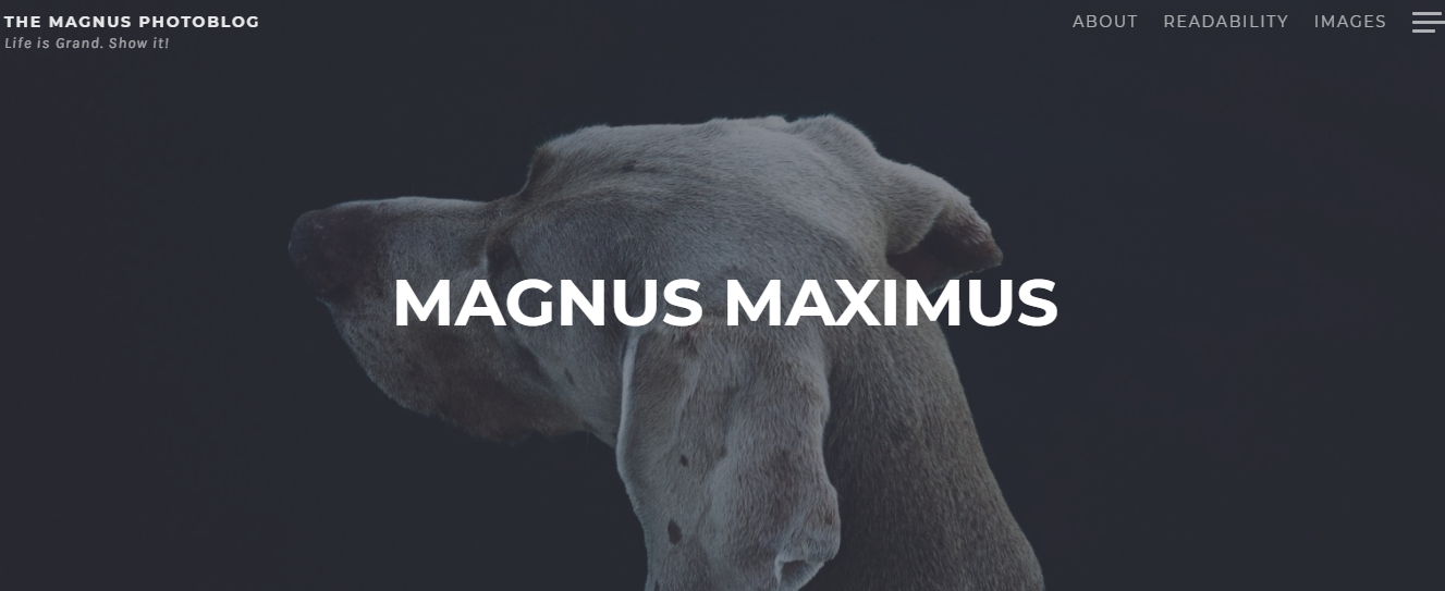 Magnus - Best Free WordPress Themes for Blogs