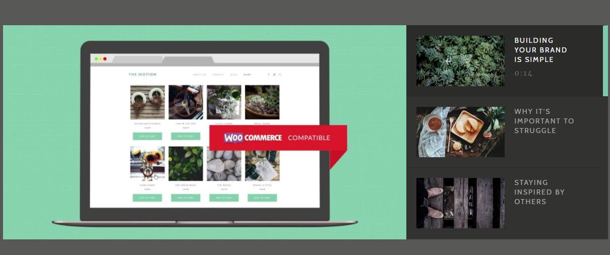 TheMotion Lite - Best Free WordPress Themes for Blogs