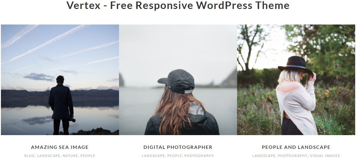 Vertex - Best Free WordPress Themes for Blogs