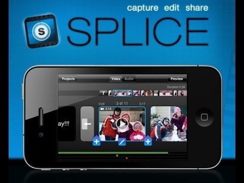 spice