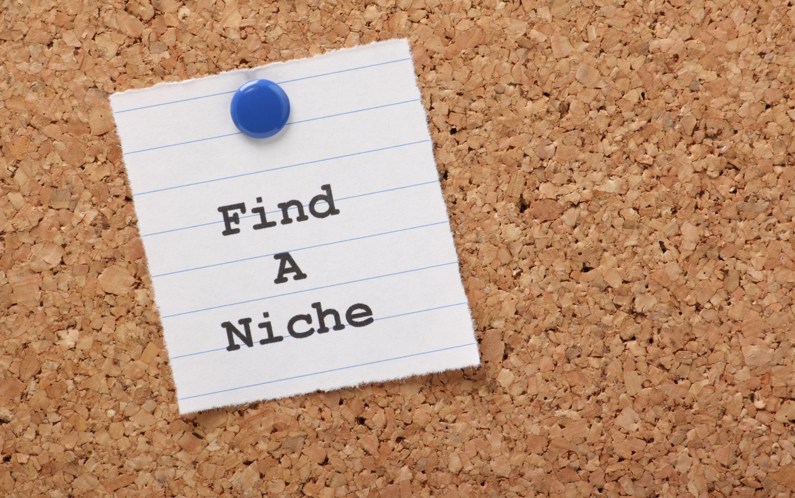 Pick A Niche