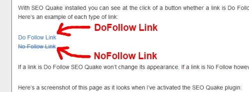 No-Follow Links