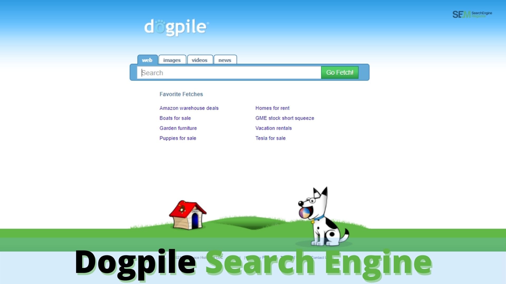 Dogpile Search Engine