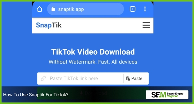 SnapTik App - Tiktok Downloader - TikTok Video Download Without Watermark Full HD