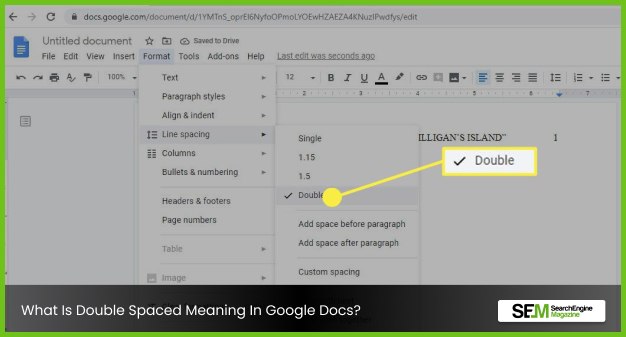 What Is Double Spaced Meaning In Google Docs