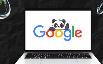 Google Panda update