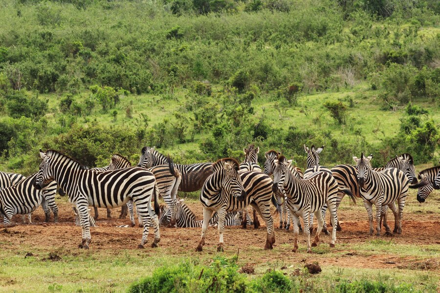 Serengeti National Park