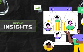 what are audience insights
