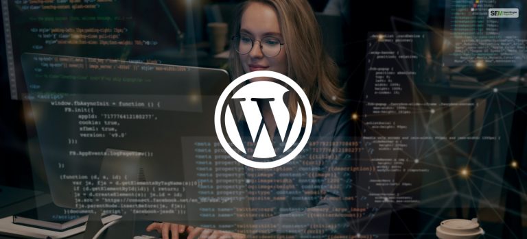 The Top 10 Free WordPress Themes You Should Try Out In 2024!