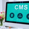 Headless CMS