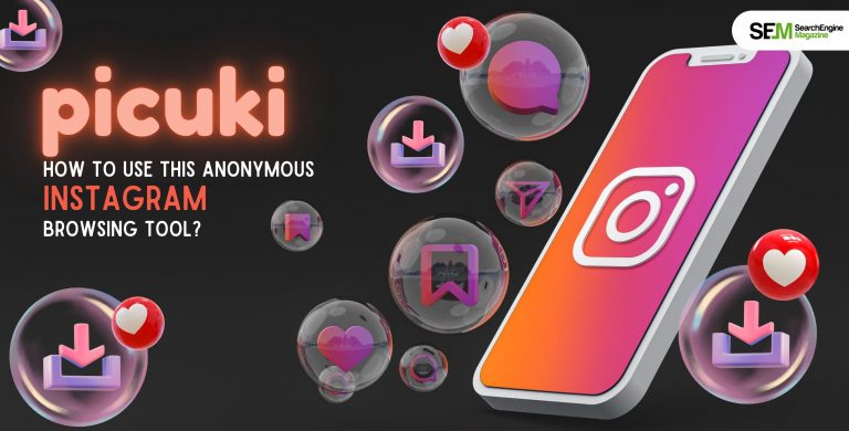 Picuki: How To Use This Anonymous Instagram Browsing Tool?