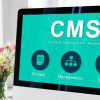 Headless CMS Supports Transparent Fintech Communication