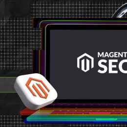 Magento SEO
