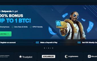 Betpanda Promo Codes