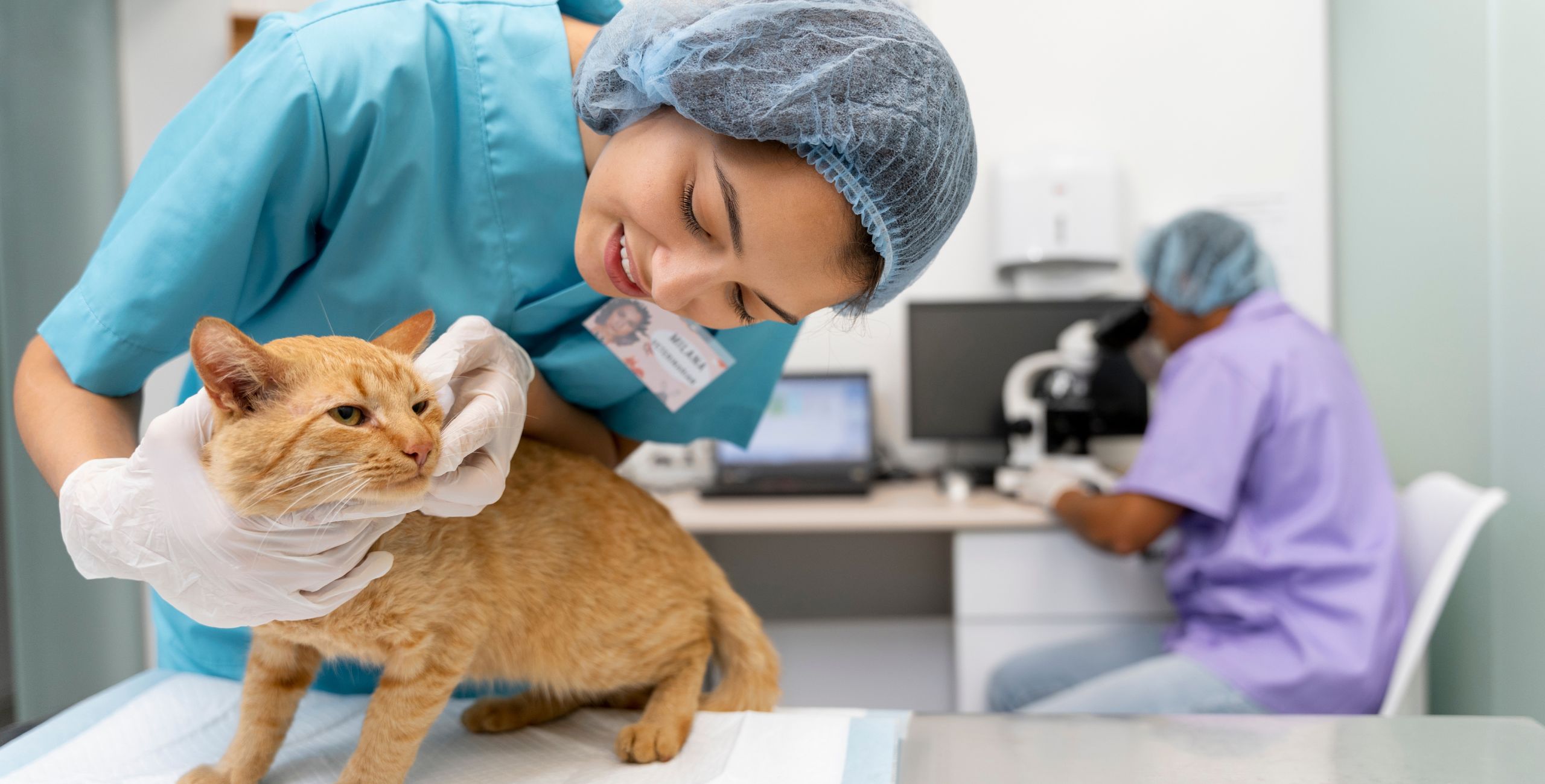 How To Become A Vet Tech