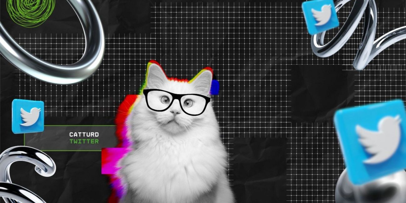 Catturd Twitter