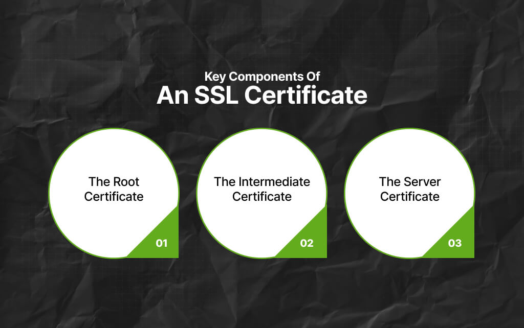 Key Components Of An SSL Certificate