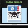crawl budget